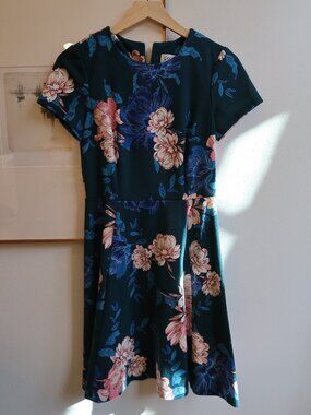 Eliza J Fit & Flare Floral Dress